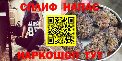 СК Коммунар