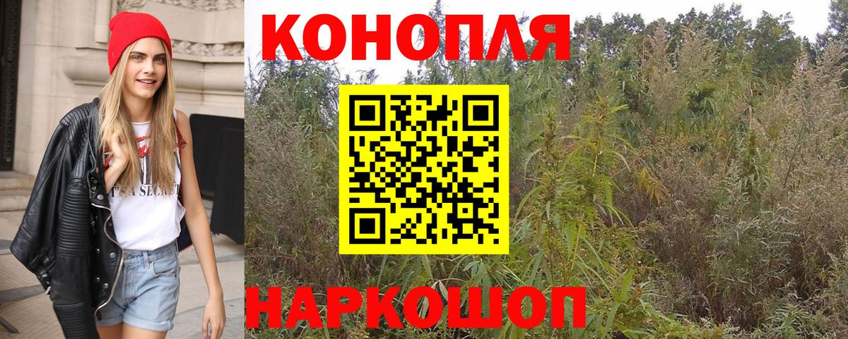 Марихуана MAZAR  МАРИХУАНА OG Kush  Конопля конопля  Вход с VPN  Кириши  Бошки Шишки гибрид 